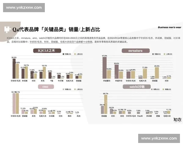 抓住客户痛点打造高转化方案助力业绩持续增长与复购提升实现品牌突破