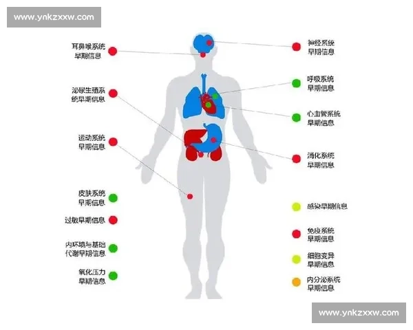 全面健康监测系统:助力个性化健康管理与预防疾病的智能解决方案 全面健康监测系统:助力个性化健康管理与预防疾病的智能解决方案